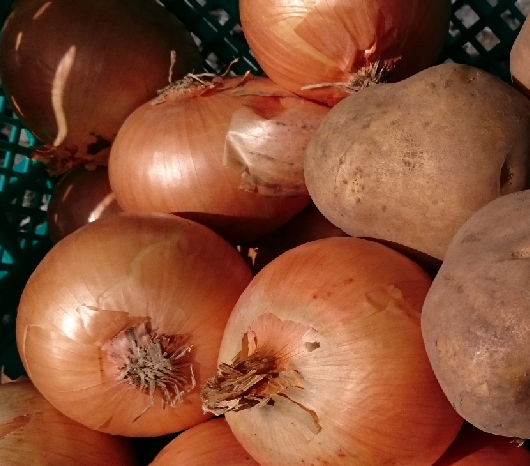 安心・安全な野菜を運び、生産者と消費者を結びます。